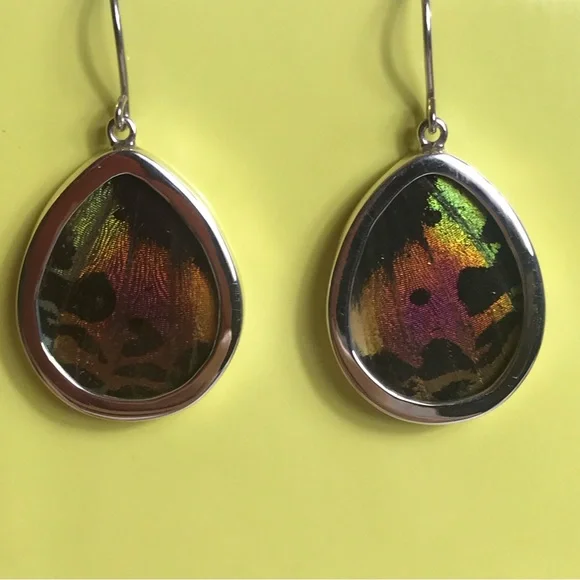 Real Butterfly Wing Earrings Sterling Silver Handmade Jewelry Oval Teardrop - Picture 9 of 9